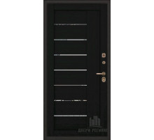дверь Regidoors ТОР ТЕРМО LIGHT 2110 с зеркалом "Шоко велюр"